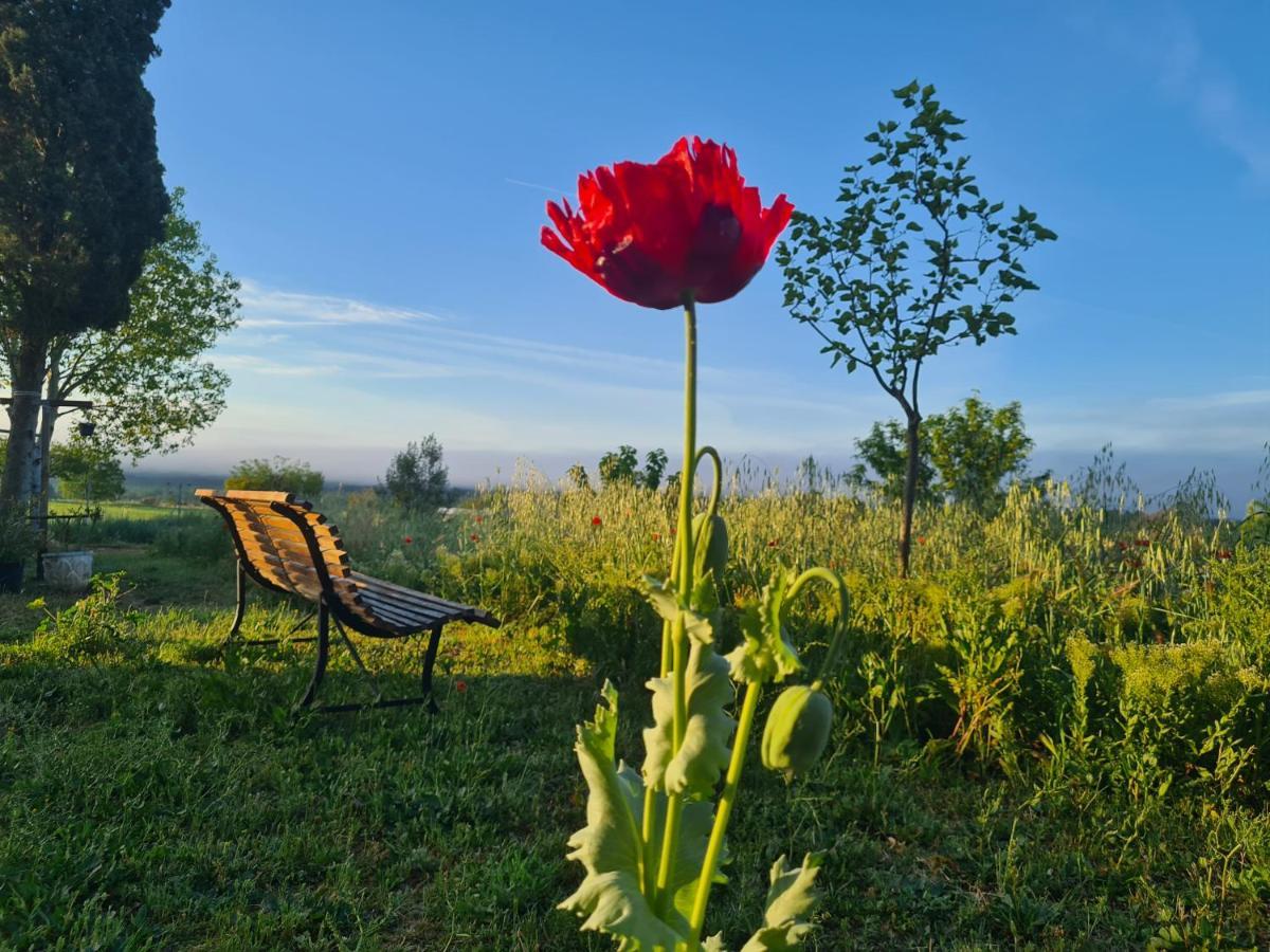 Вилла La Ferme Constantin Фаянс Экстерьер фото